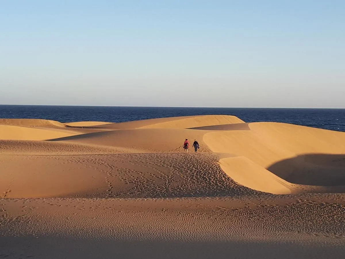 Taidia Tropical Apartment Maspalomas  Spain