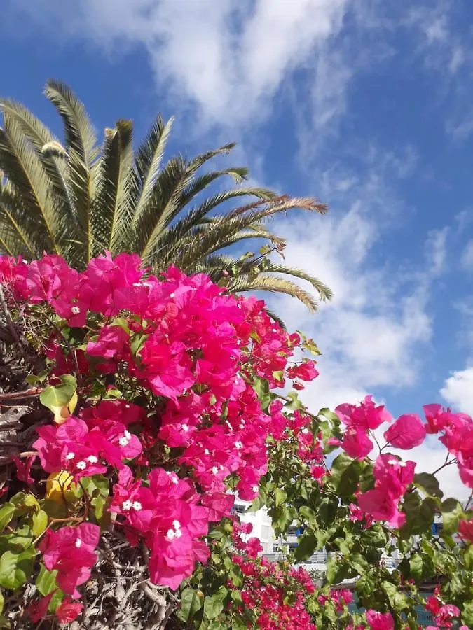 Taidia Tropical Apartment Maspalomas  0*, Maspalomas (Gran Canaria)